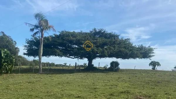 Fazenda/Sítios/Chácaras em Rio Grande - Povo Novo