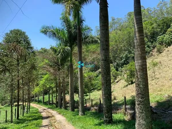 Área Estrada do Turvo