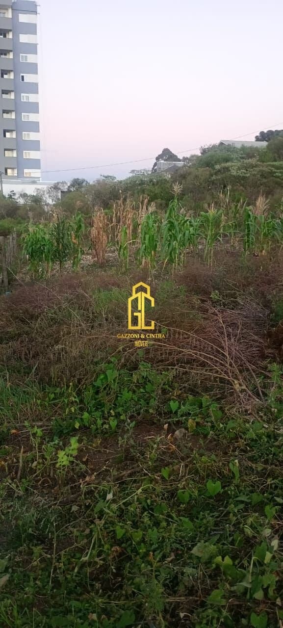 Lote/Terreno em Caxias do Sul - Nossa Senhora das Graças