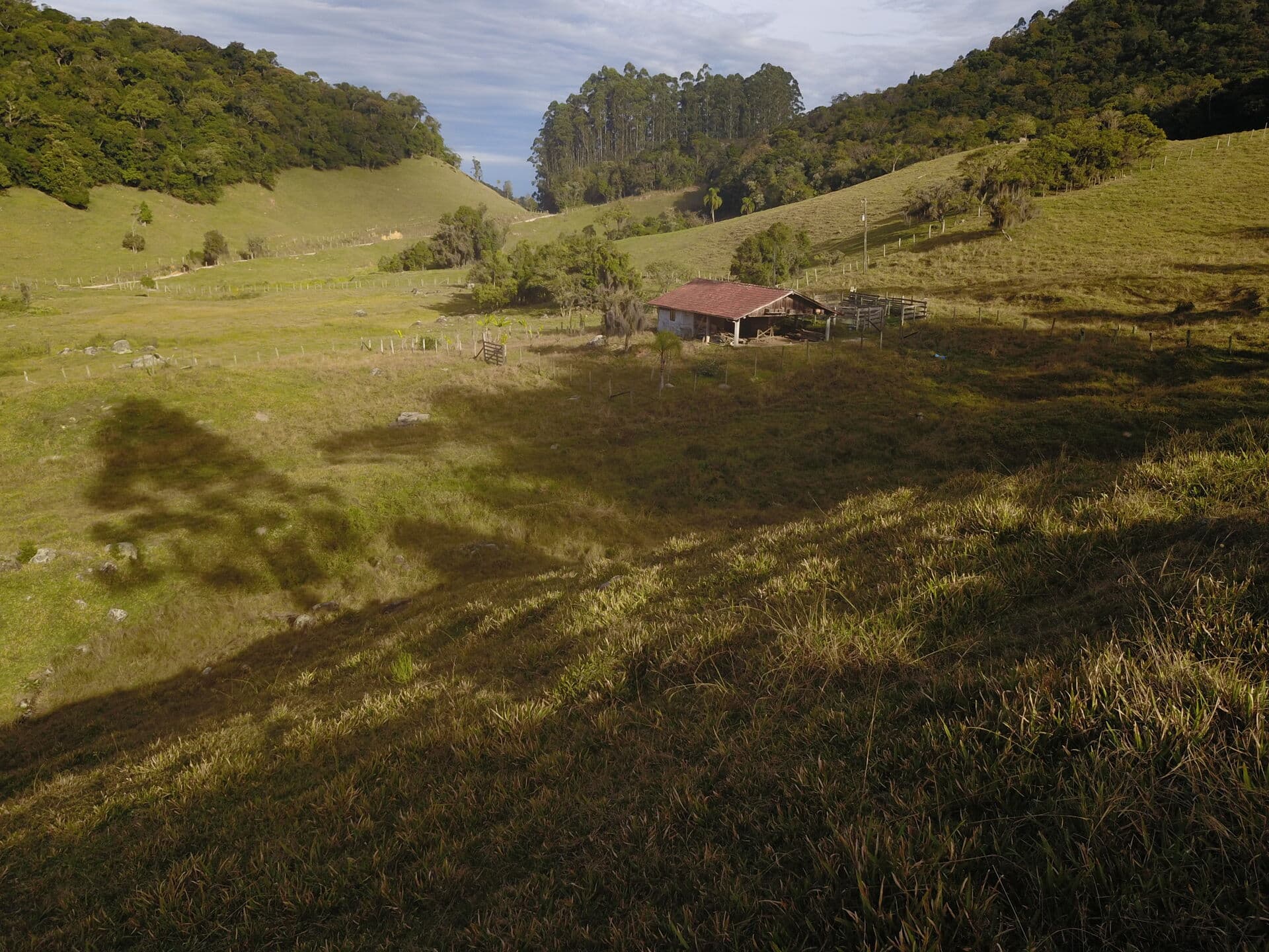 Terreno com grande área plana, pastagens, açude e nascentes.