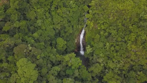 Chácara com 137 hectares - São Bonifácio