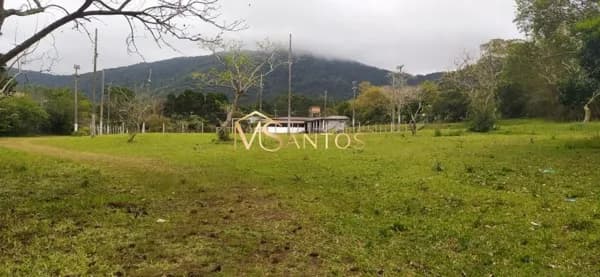Terreno à venda, 10835 m² por R$ 6.500.000,00 - São João do Rio Vermelho - Florianópolis/SC