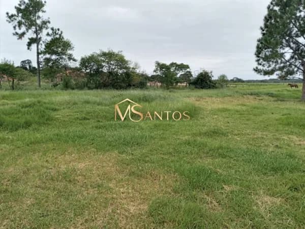 Terreno à venda, 48230 m² por R$ 12.850.000,00 - São João do Rio Vermelho - Florianópolis/SC