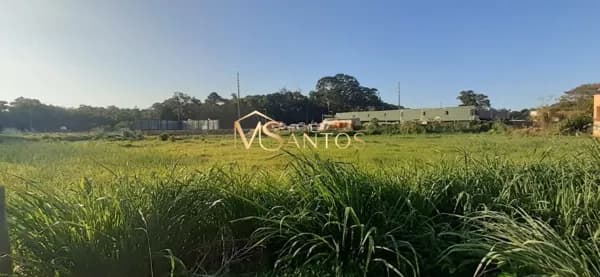 Terreno à venda, 8232 m² por R$ 13.994.000,00 - Vargem Grande - Florianópolis/SC