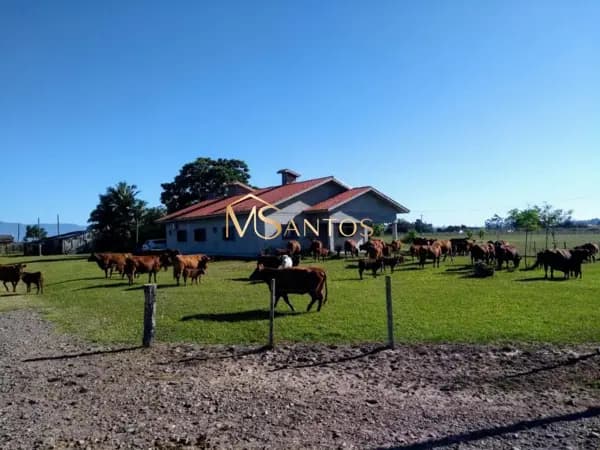 Fazenda à venda, 3300000 m² por R$ 33.000.000,00 - Três Coqueiros - São João do Sul/SC