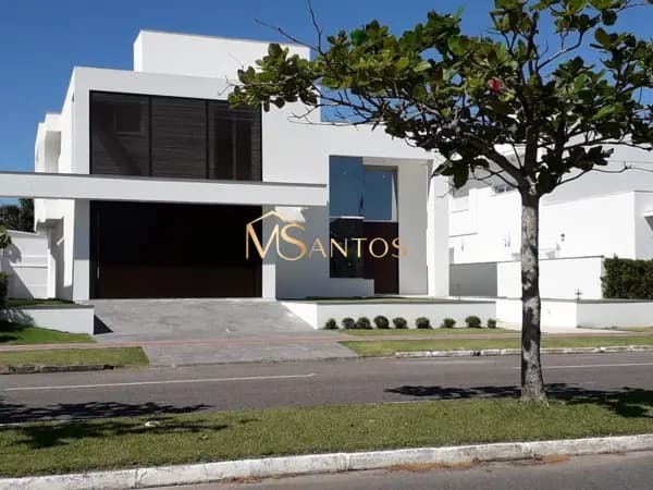 Cana nova em Jurerê Internacional