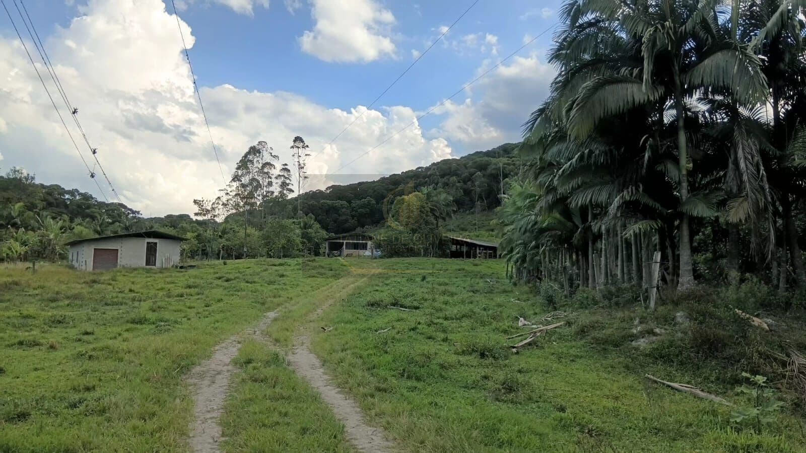 Fazenda/Sítios/Chácaras em Antonina - KM 4