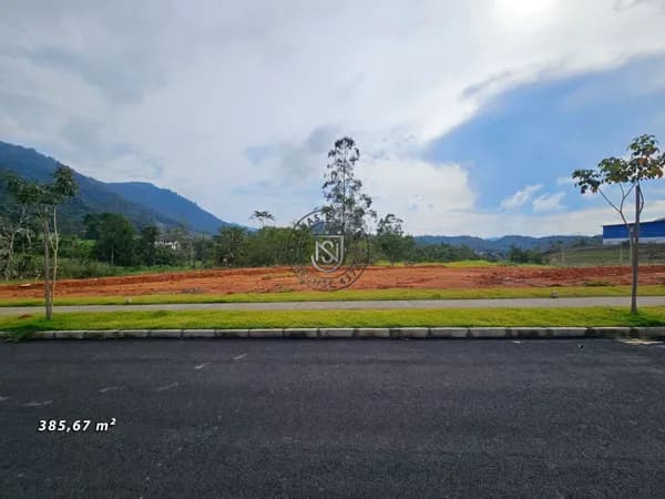 Lote com 317,22 m²