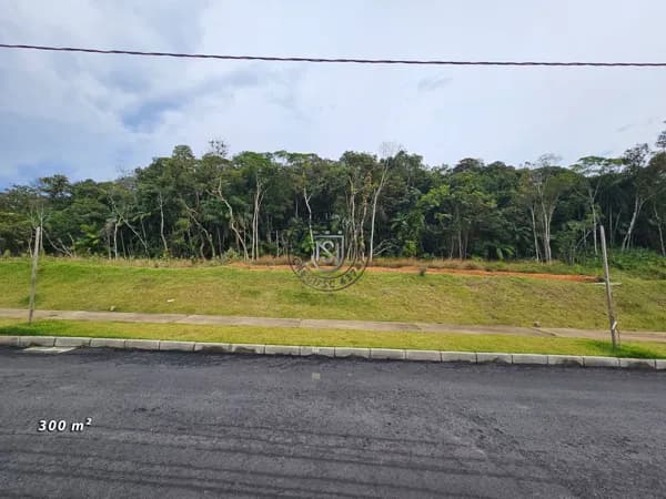 Lote com 300m² fundos com area verde