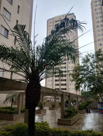 Apartamento no Jardim Marajoara - São Paulo - SP