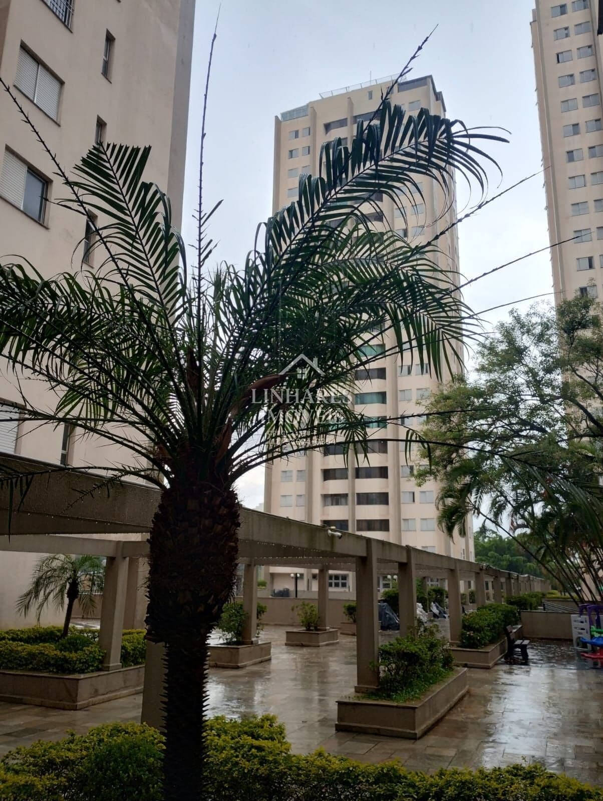Apartamento no Jardim Marajoara - São Paulo - SP