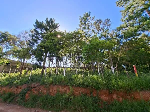 Terreno no Filipinho - Embu-Guaçu - SP