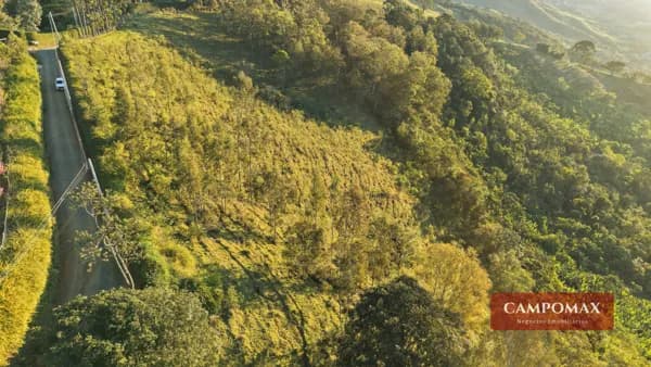 Terreno com Duas Nascentes e Vista Permanente para o Vale no Bairro do Paiol