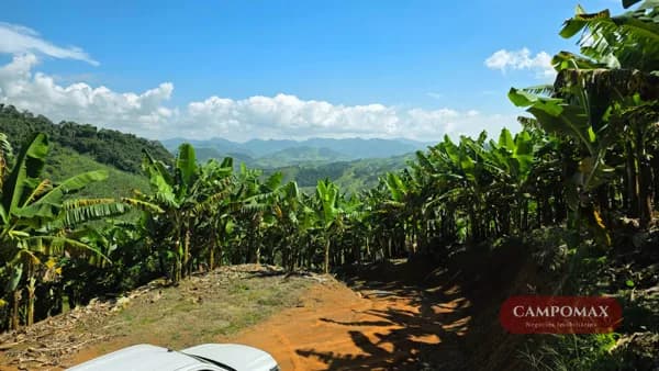 Terreno com Nascente e Platô