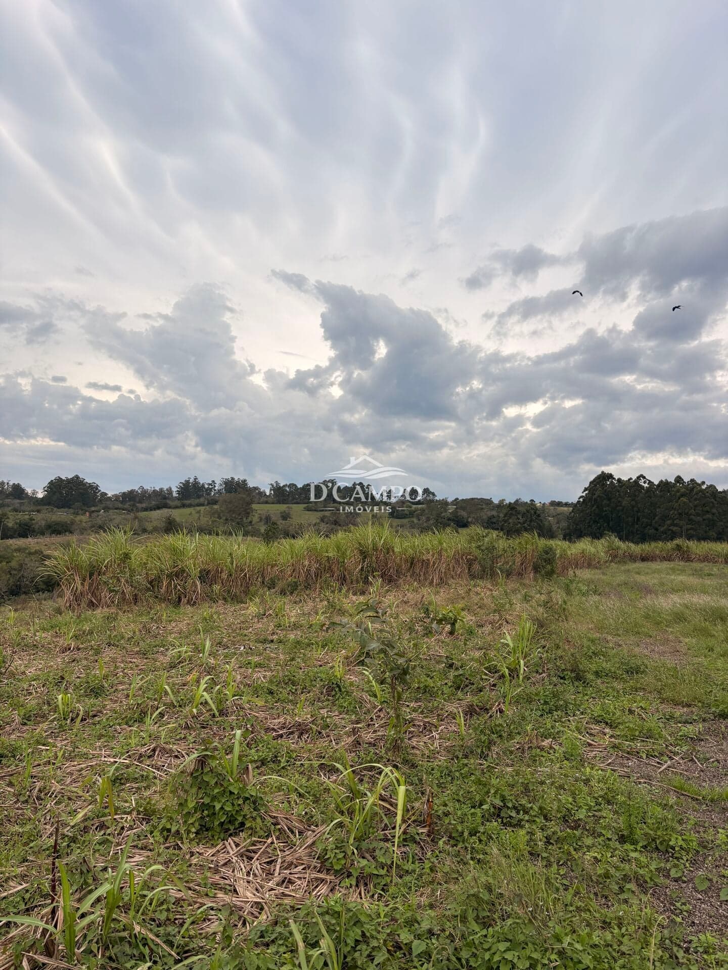 Fazenda/Sítios/Chácaras em Gravataí - Ipiranga VI (Ipiranga)