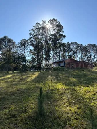 Sítio à venda no bairro Ipiranga VI - Gravataí/RS