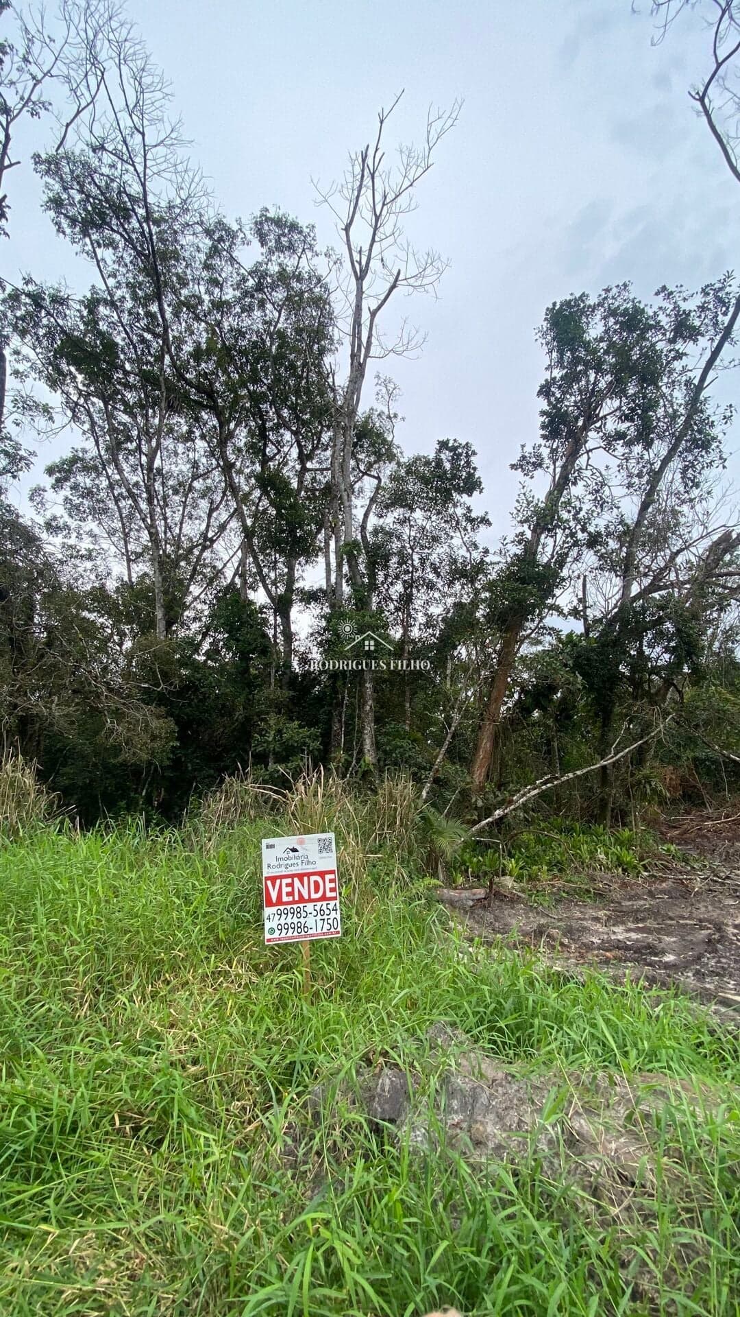 Terreno de Esquina medindo 16 x 24