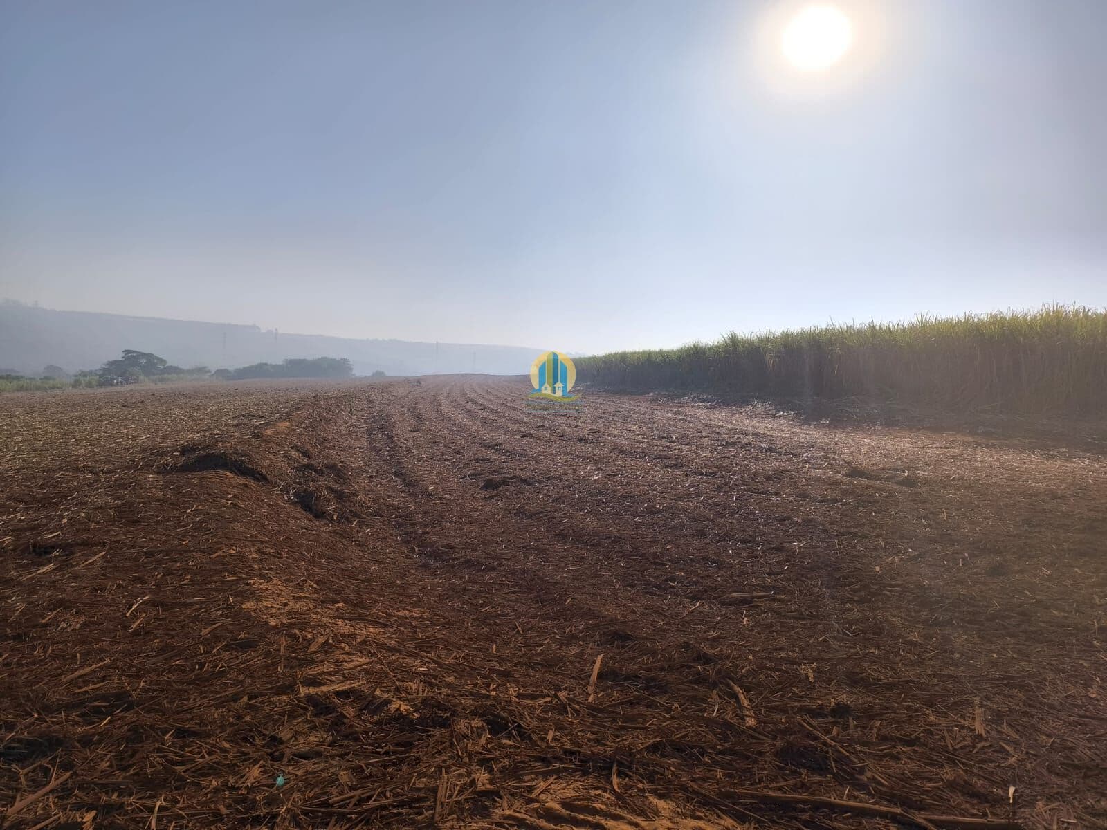 Fazenda à Venda – Rio Claro/SP