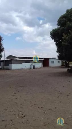 Fazenda à Venda em Niquelândia – GO | 1.406 Hectares com Eucalipto, Recursos Hídricos e Potencial Mineral