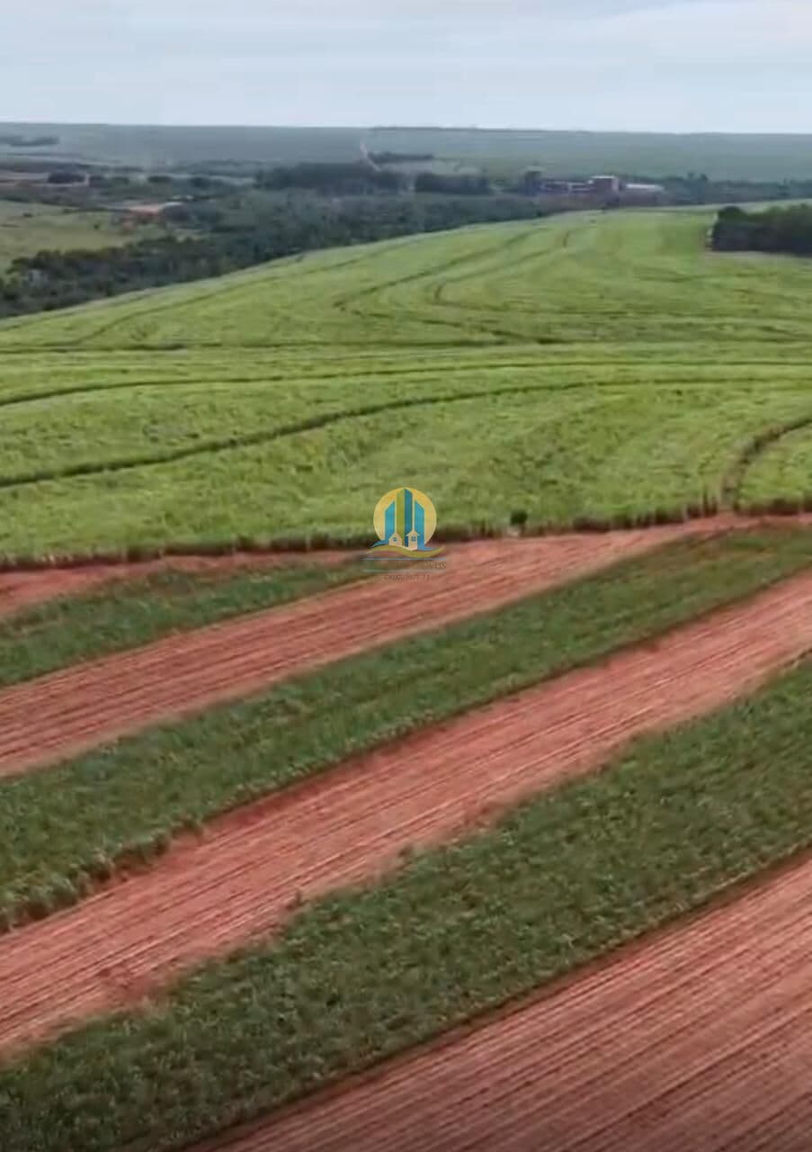 FAZENDA À VENDA – REGIÃO DE PRESIDENTE PRUDENTE/SP