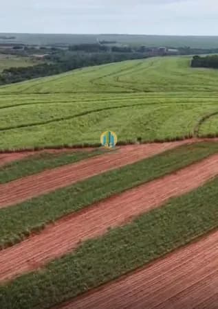 FAZENDA À VENDA – REGIÃO DE PRESIDENTE PRUDENTE/SP