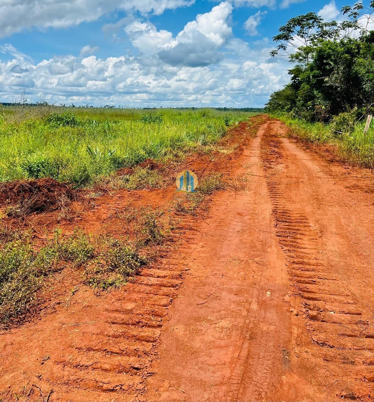 Fazenda/Sítios/Chácaras em Santana do Araguaia - Centro