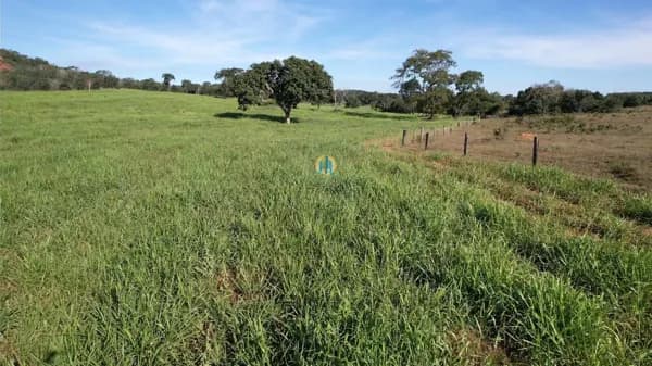 Fazenda/Sítios/Chácaras em Alto Araguaia - Centro