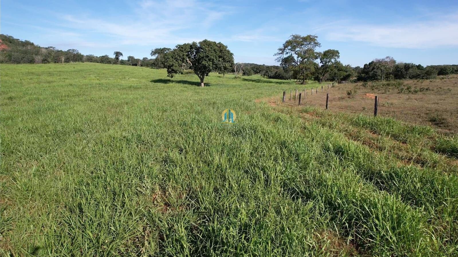 Fazenda/Sítios/Chácaras em Alto Araguaia - Centro