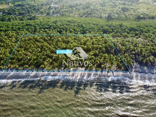 Área Beira-Mar na Ilha dos Tubarões | 31.682,31 m² com 249,84 m de Frente para a Baía de Camamu