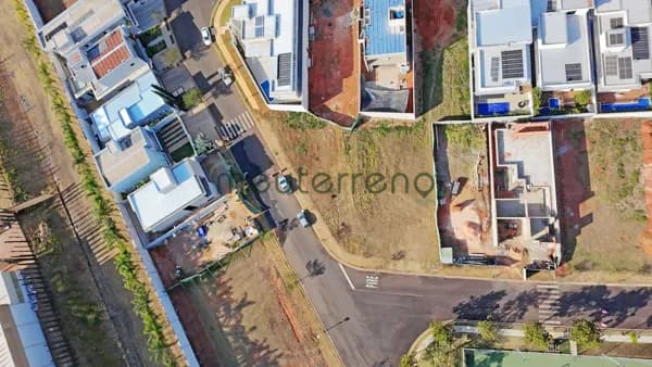 LOTE OLIVITO