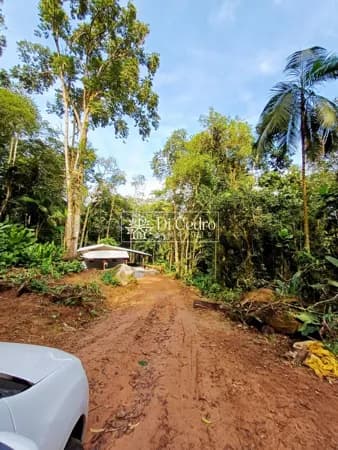 Sítio com 36.759 m2 em Rio dos Cedros - Rio Esperança