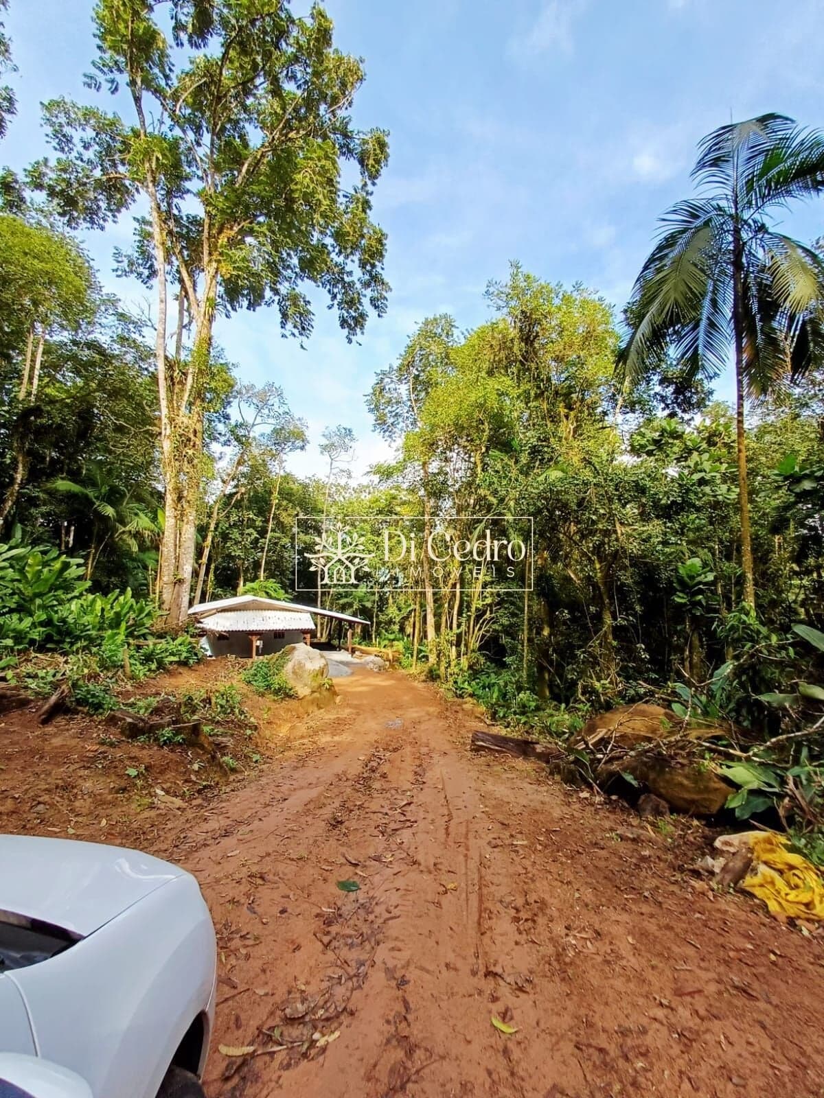 Sítio com 36.759 m2 em Rio dos Cedros - Rio Esperança
