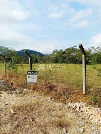 🌳 Terreno Amplo em Excelente Localização – Ideal para Morar ou Investir!