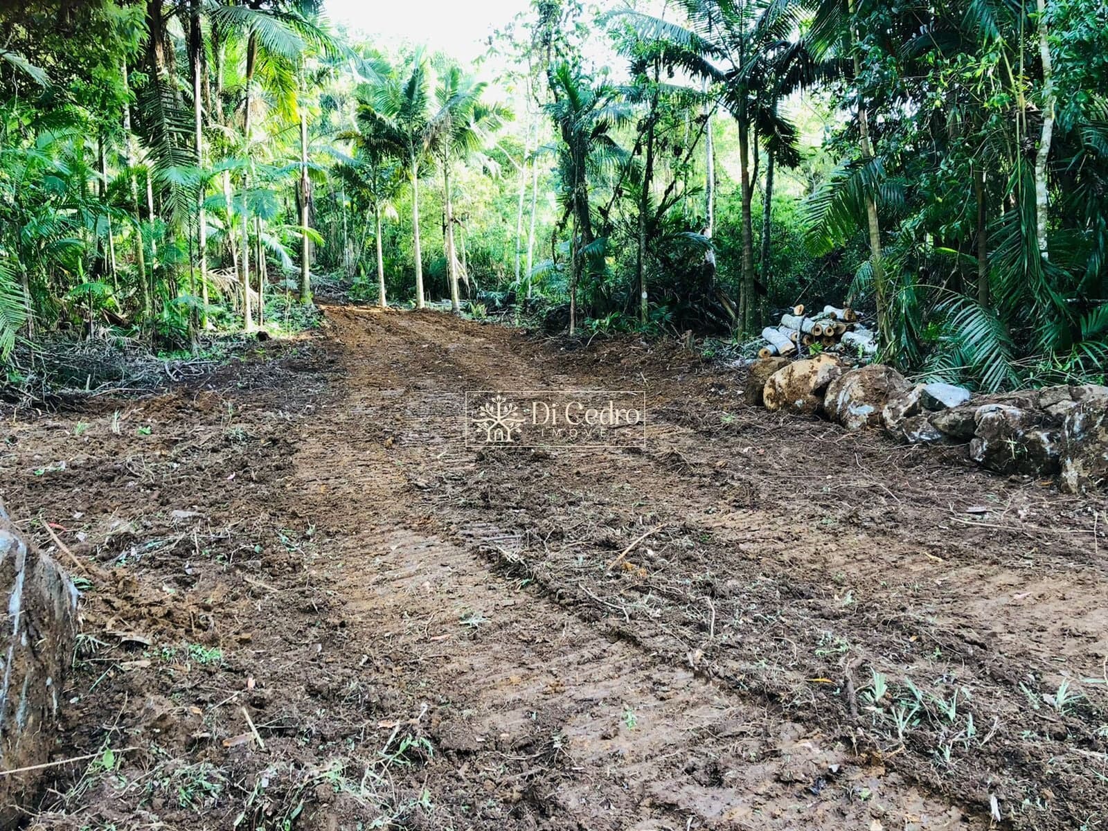 🏡 Lindo Sítio com 25.000 m² – Um Investimento com Inúmeras Possibilidades!
