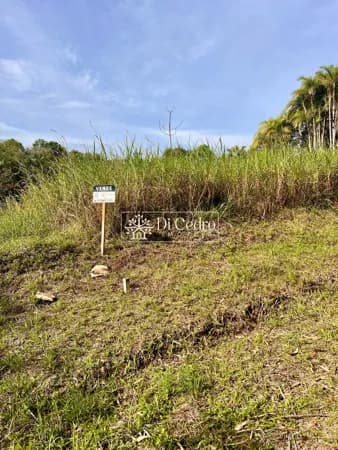 🏡 TERRENO COM 583,44 m² | 18 METROS DE FRENTE | RUA SEM SAÍDA EM BAIRRO TRANQUILO!