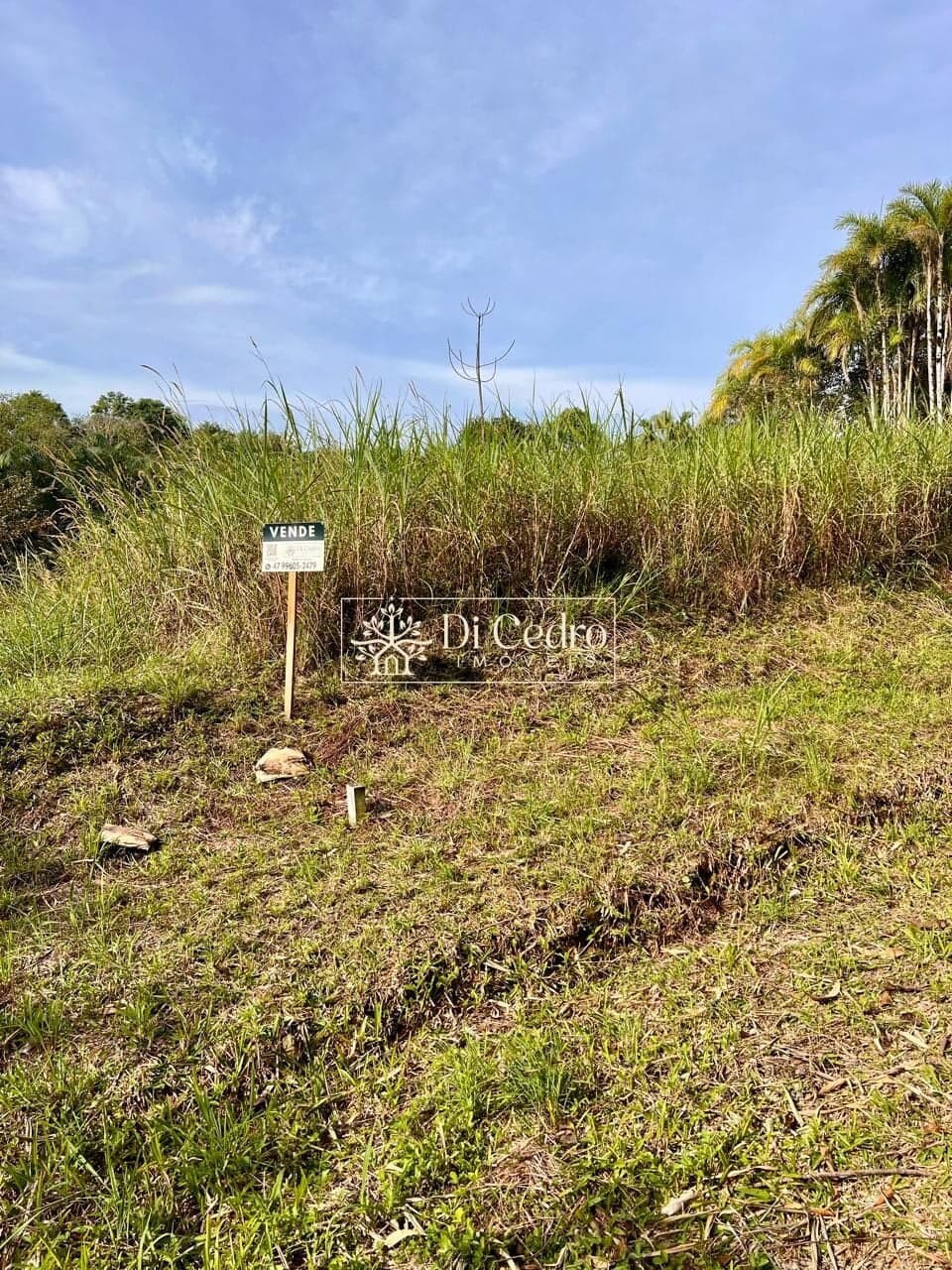 🏡 TERRENO COM 583,44 m² | 18 METROS DE FRENTE | RUA SEM SAÍDA EM BAIRRO TRANQUILO!
