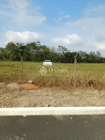 🏡 Terreno Amplo com mais de 4.594,00 m² – Excelente Oportunidade para Moradia ou Investimento!