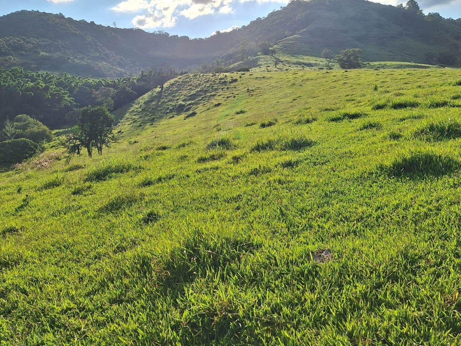 SÍTIO 13 ALQUEIRES À VENDA EM PARDINHO/SP