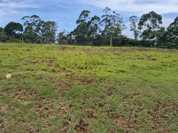 🏡 Terrenos à Venda no Paradise Gardens | Mogi das Cruzes