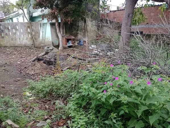 🏡 Terreno à Venda na Vila Natal | Mogi das Cruzes