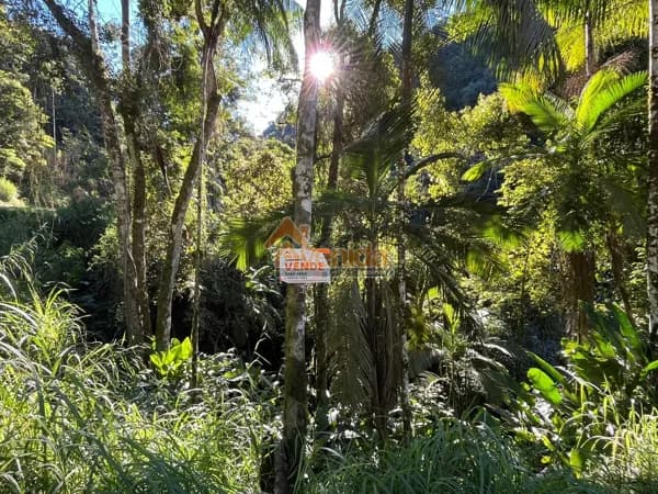 Lote/Terreno em Benedito Novo - Centro