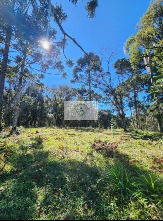 Terreno para sitio com 10.000 m2, escriturado, aceita parcelamento e carro