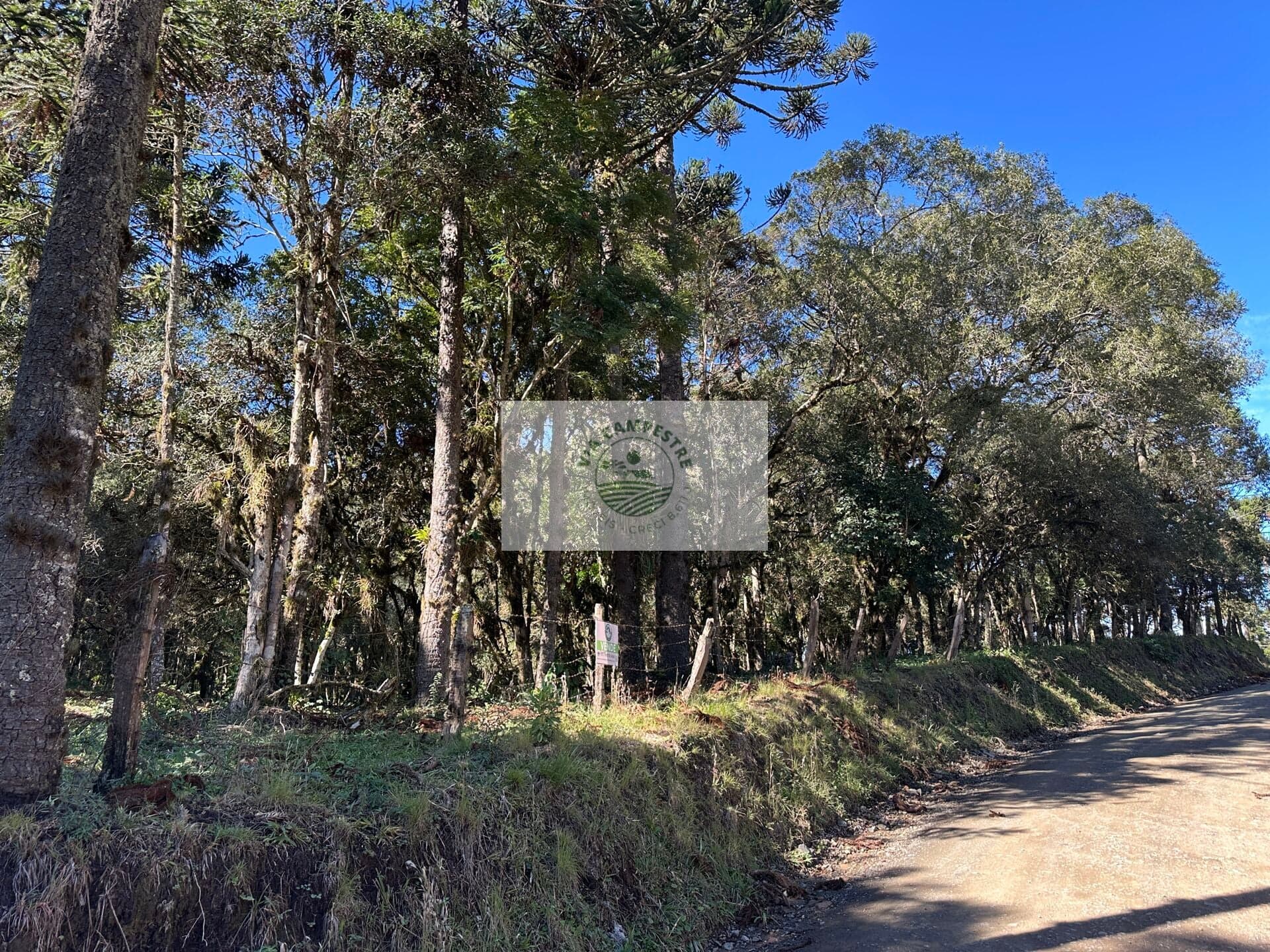 Sítio com 8.310 m², no Lajeado, apenas 300 metros do asfalto, aceita financiamento