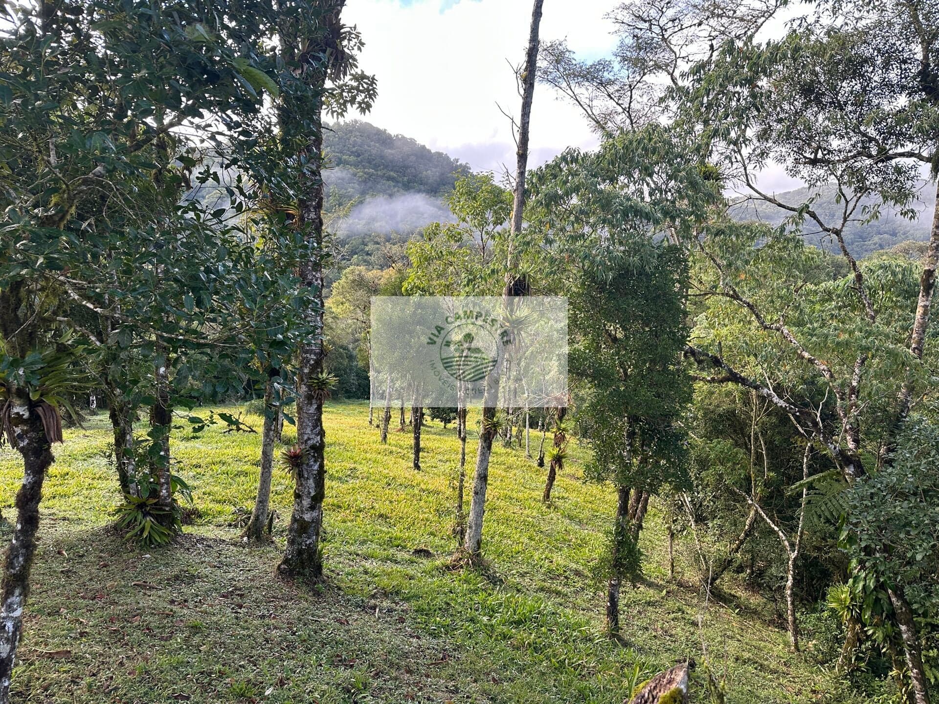 Terreno para sitio na subida da serra, condominio fechado, apenas R$ 270.000,00