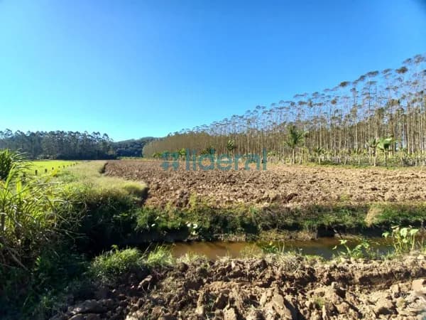 Área Rural em Bairro Oliveira, Tijucas/SC