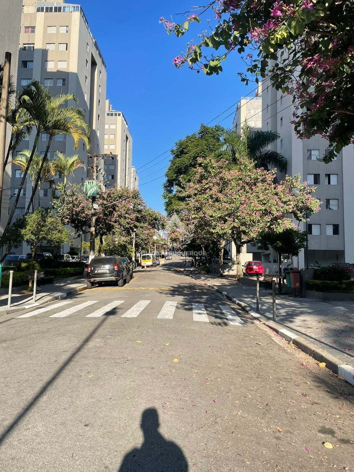 Apartamento em Jardim Germânia, São Paulo/SP
