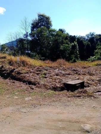 Lote/Terreno em Teutônia - Teutônia