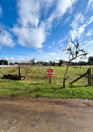 Fazenda/Sítios/Chácaras em Nova Santa Rita - Califórnia