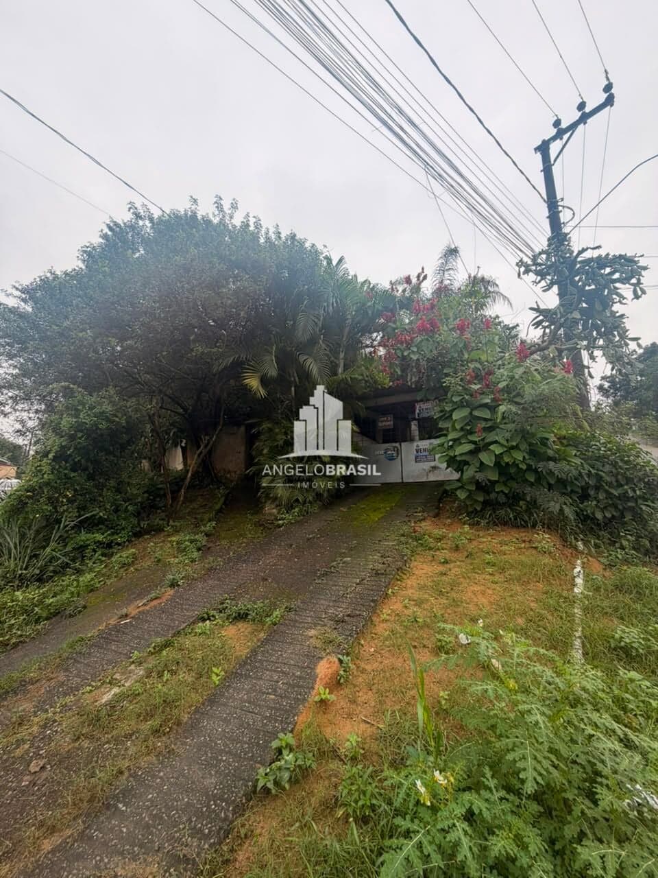 🌳 Chácara à Venda – São Francisco de Assis | Belford Roxo/RJ