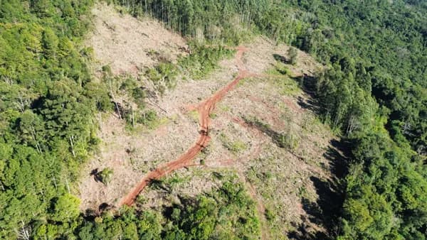 Fazenda/Sítios/Chácaras em Arroio do Meio - Linha Palmas (Distrito)